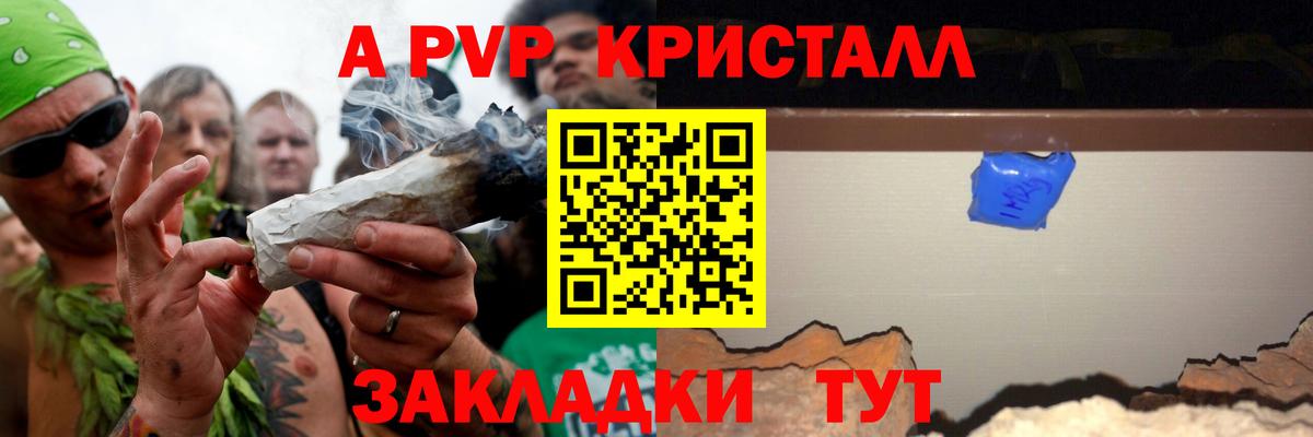  COCAIN Гурьевск