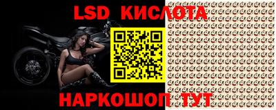 прущие грибы Лесосибирск