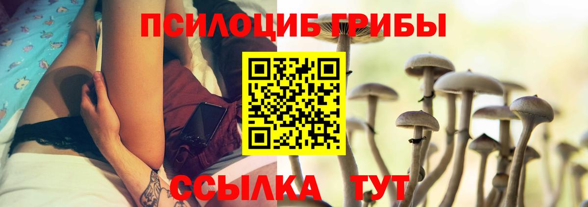 Псилоцибиновые грибы мицелий Гурьевск